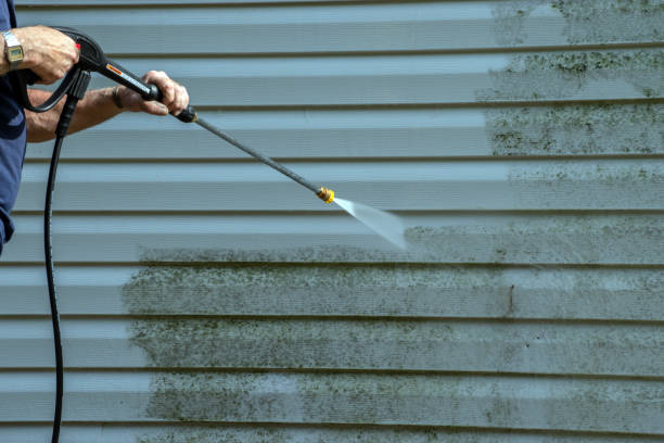 Best Driveway Pressure Washing  in Dallas Center, IA