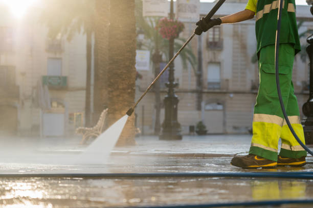 Best Animal Enclosure Cleaning  in Dallas Center, IA